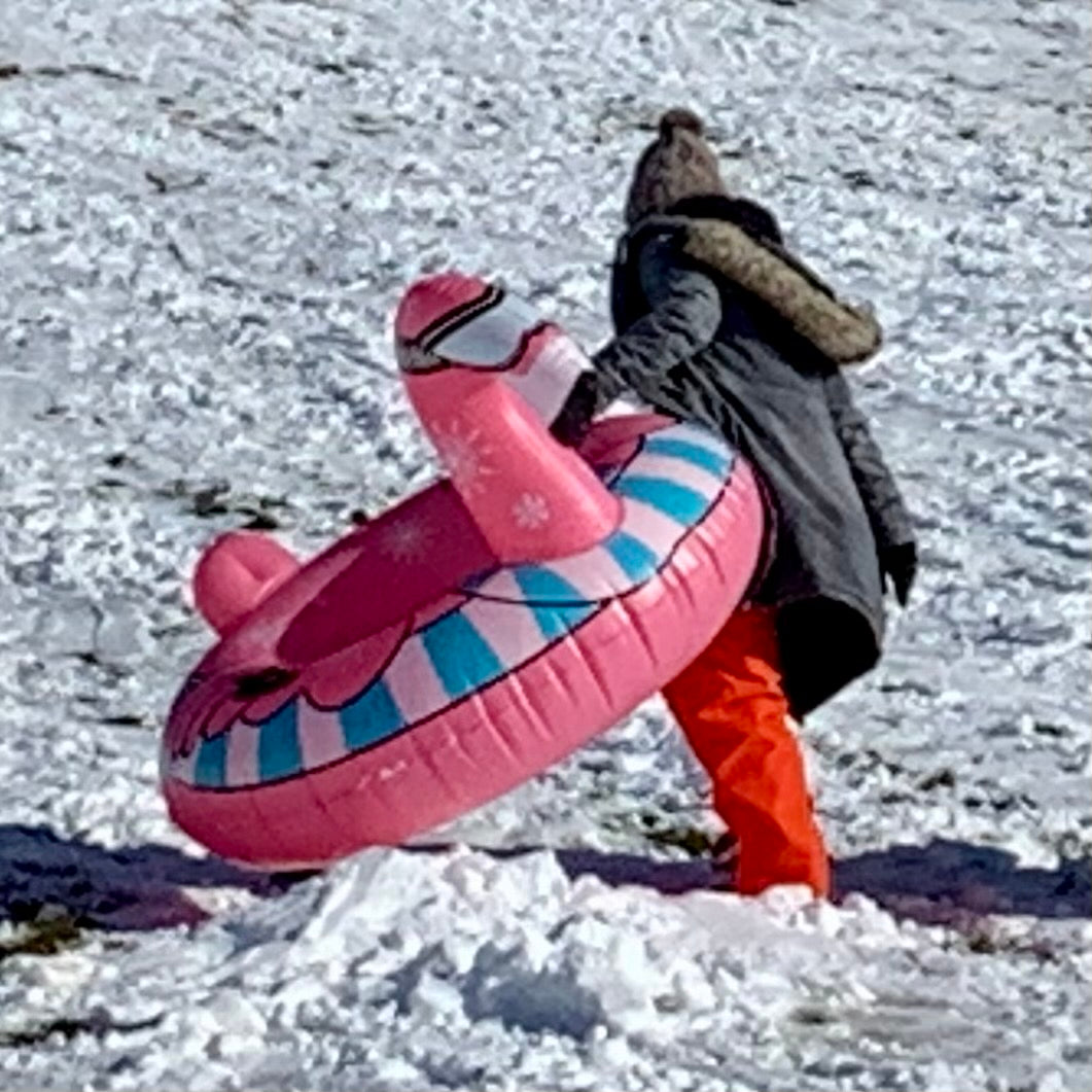 Giant Flamingo Snow Tube - Carry